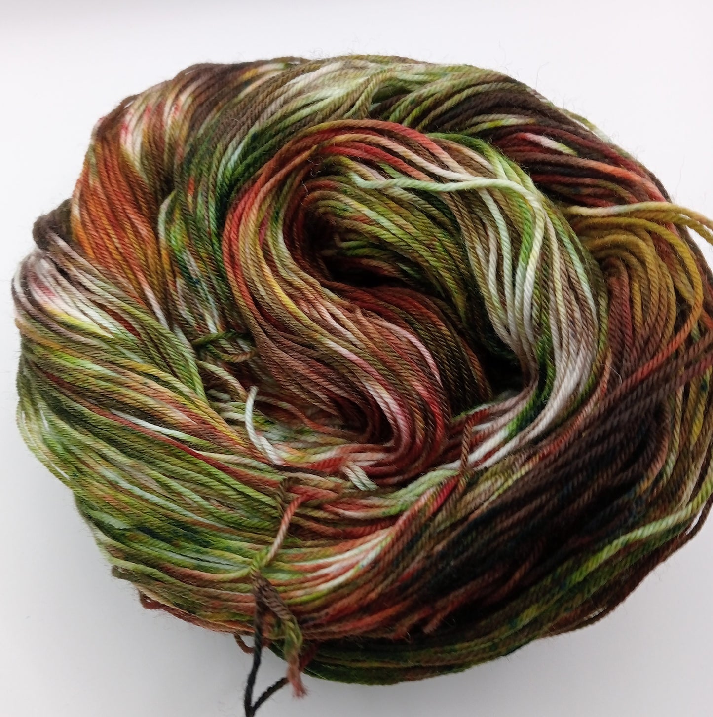 100G hand dyed Merino/Nylon luxury sock yarn - "Rustic Retreat"